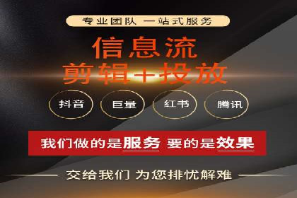 竞价广告的创意与执行：某快消品的营销突破